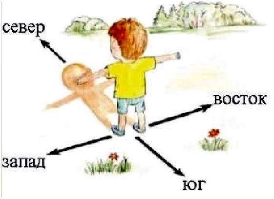 Где юг где запад. Как определить где находится Север, Юг, Запад, Восток
