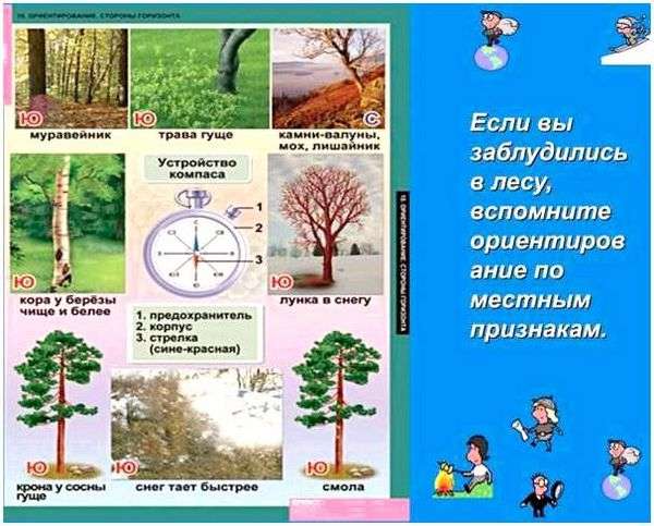 Где юг где запад. Как определить где находится Север, Юг, Запад, Восток