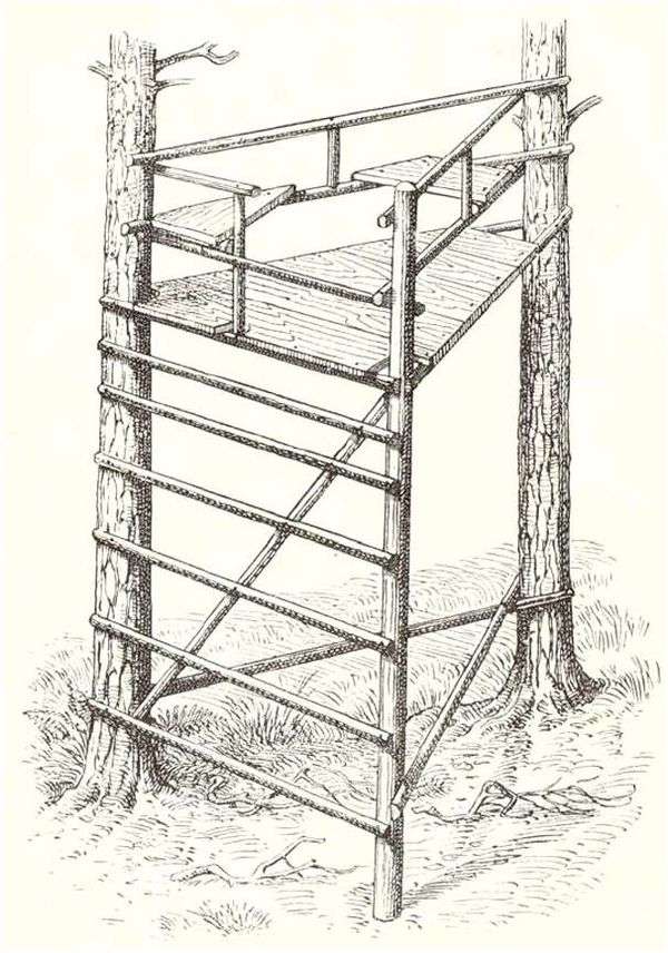 Как сделать лабаз на дереве своими руками. как сделать вышку на дереве. нестандартные способы строительства охотничьих вышек