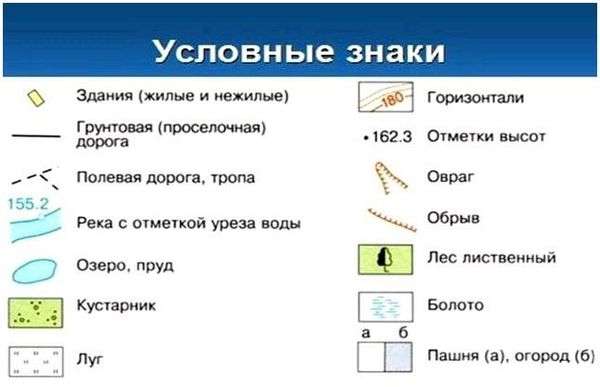 Условные обозначения лиственный лес. Топографические условные знаки