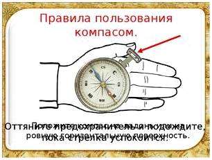 Все стороны горизонта на компасе. как определить стороны света по компасу