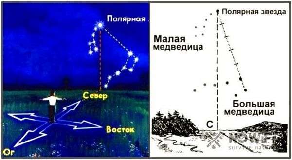 Северо восток как определить. Как без компаса определить, где север, юг, запад и восток: практические советы