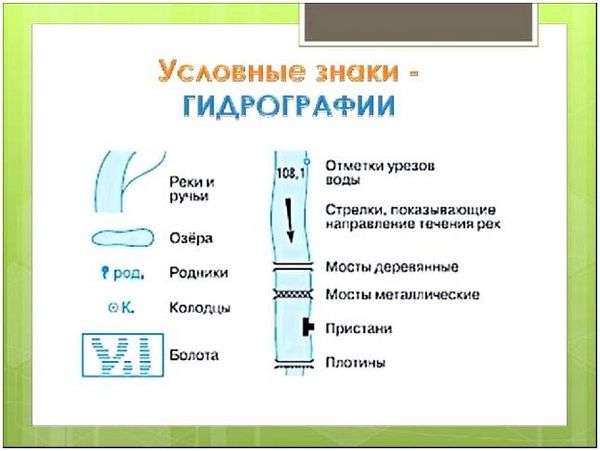 Топографические обозначения деревьев. Топографические условные знаки и обозначения лесов, кустарников, садов и пр.