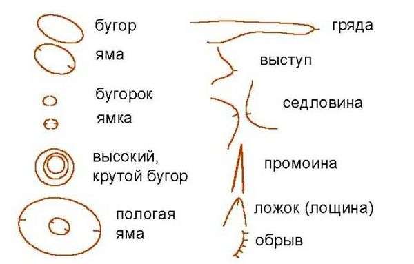 Топографические обозначения деревьев. Топографические условные знаки и обозначения лесов, кустарников, садов и пр.