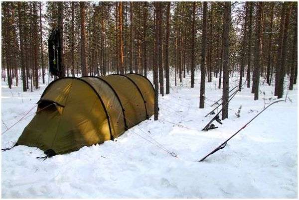 Как поставить палатку на дереве. Установка палатки