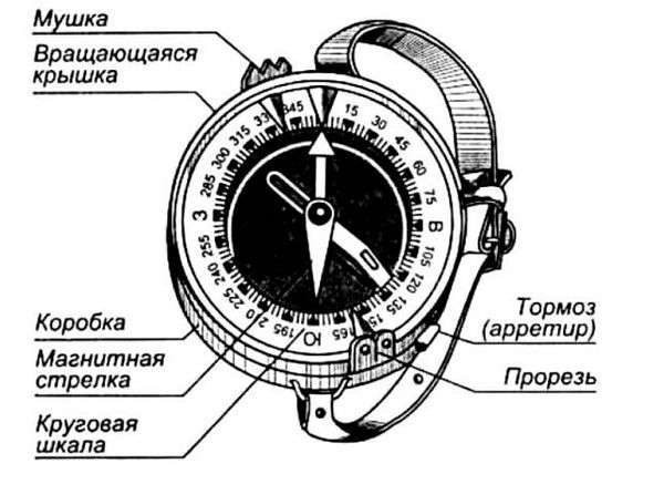 Компас адрианова радиоактивен или нет. Опасны ли радиоактивные артефакты в быту?