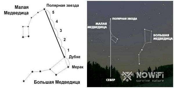 Ориентирование по муравейнику кратко. Как ориентироваться по муравейнику?