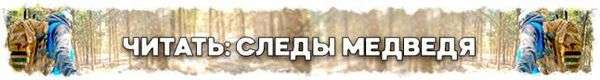 Отличия волчьих следов от собачьих. Характеристика следов животных: собаки, росомахи и ласки