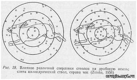 Основные части охотничьего оружия. Основные части охотничьего дробового ружья