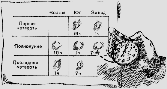 Сторона света по правую руку. Как определить стороны света разными способами