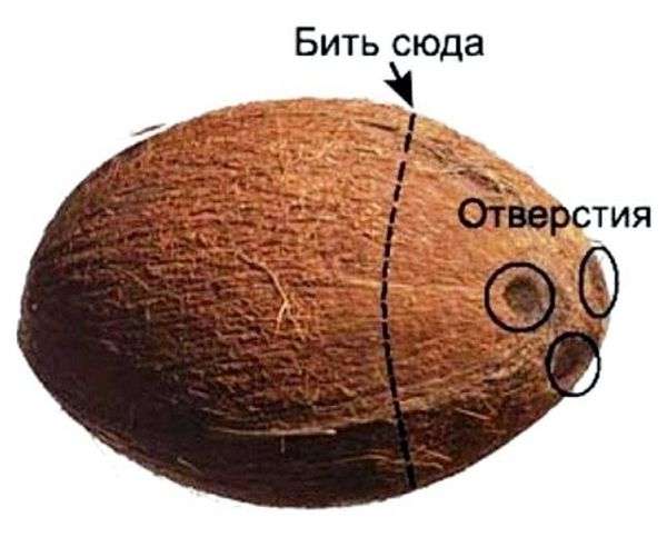 Как правильно открыть консервную банку открывалкой. как правильно пользоваться консервным ножом. для миллениалов и не только