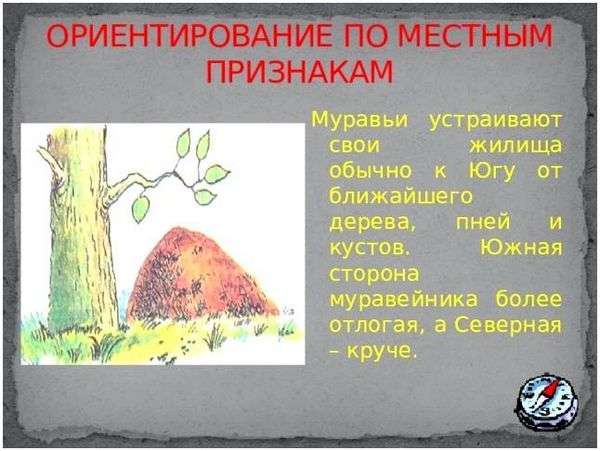 Около полуночи по местному времени полная луна находится. Ориентирование по Луне