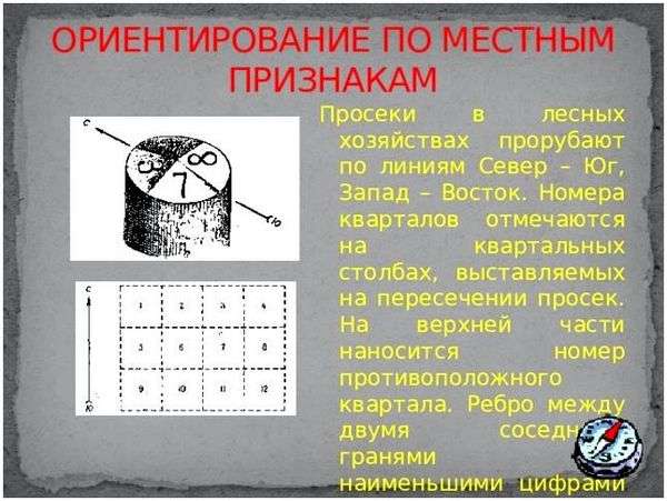 Около полуночи по местному времени полная луна находится. Ориентирование по Луне