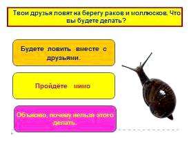 Правила поведения в лесу видеоурок. Будь другом природе