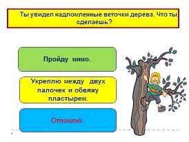 Правила поведения в лесу видеоурок. Будь другом природе