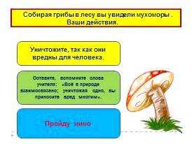 Правила поведения в лесу видеоурок. Будь другом природе