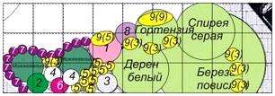 Условные обозначения сад. Условные обозначения растений в ландшафтном дизайне