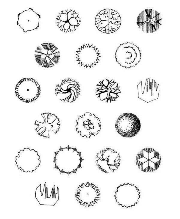 Условные обозначения сад. Условные обозначения растений в ландшафтном дизайне