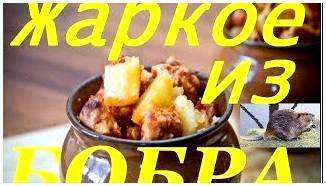 Дичь как готовить. Готовим дичь вкусно: рецепты приготовления дичи в домашних условиях