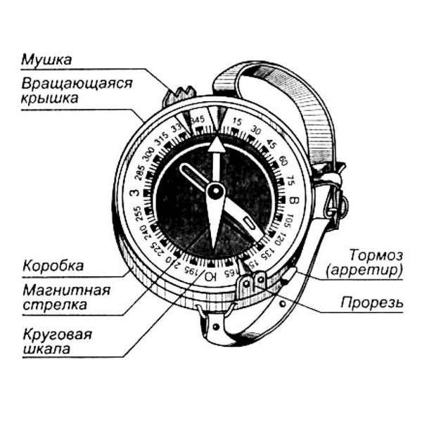 Компас обозначения сторон. как правильно ориентироваться с помощью компаса?