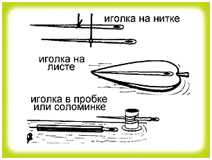 По каким предметам можно определить стороны света. как определить стороны света без компаса у себя дома и на природе