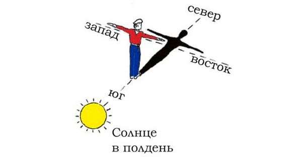 По каким предметам можно определить стороны света. как определить стороны света без компаса у себя дома и на природе