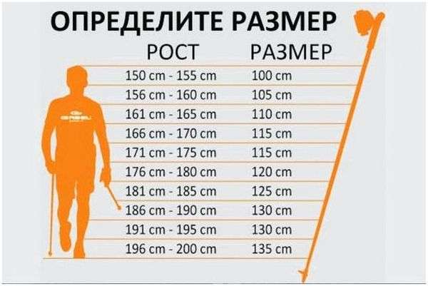 Для чего треккинговые палки. Треккинговые палки