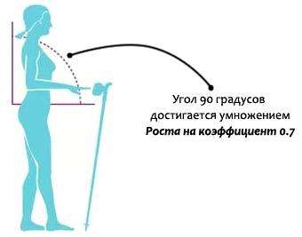 Для чего треккинговые палки. Треккинговые палки