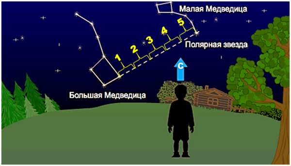 Определить полярную звезду. Как найти полярную звезду: основные советы и методы