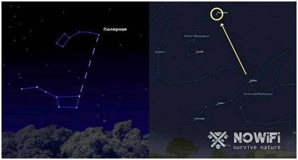 Определить полярную звезду. Как найти полярную звезду: основные советы и методы