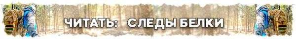 Как отличить волчьи следы от собачьих. Следы волка: как отличить и что нужно знать