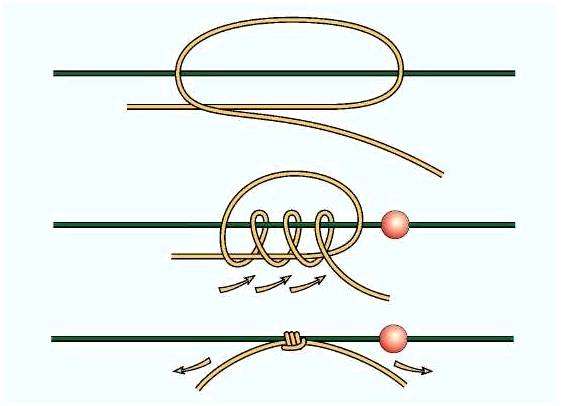 Как завязать узел на рыболовном крючке. Рыболовные узлы для крючков