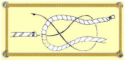 Как завязывать шкотовый узел. Шкотовый: самый узнаваемыемый соединительный узел