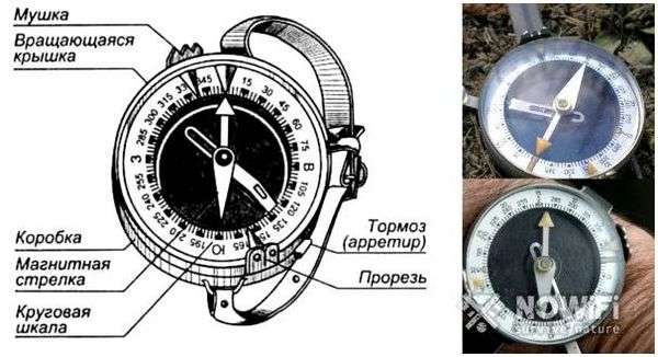 Компас андрианова состоит из. чем хорош компас адрианова, чем плох и как правильно с ним работать