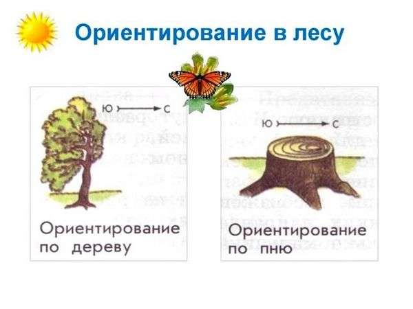 Определение сторон горизонта различными способами. ориентирование на местности