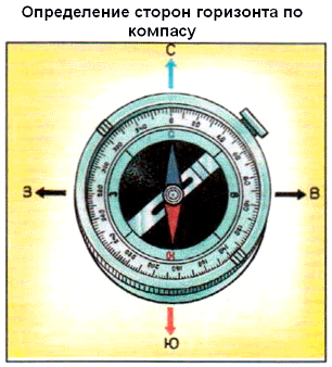 Ориентироваться это значит определять свое местоположение относительно. ориентирование на местности. часть 1. стороны горизонта. ориентирование