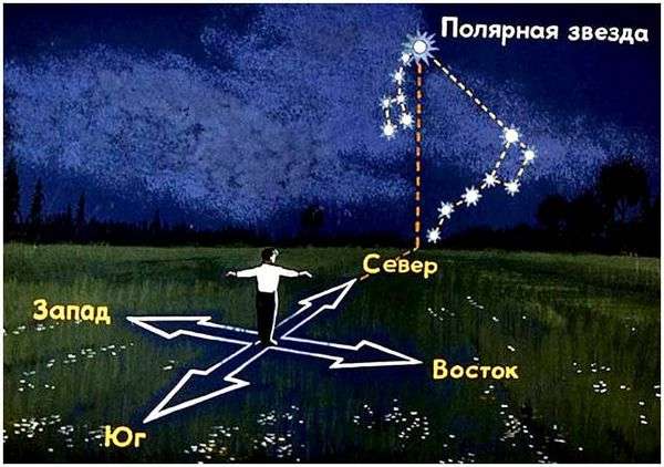 Полярная звезда википедия. самое увлекательное о полярной звезде - нашем верном ориентире