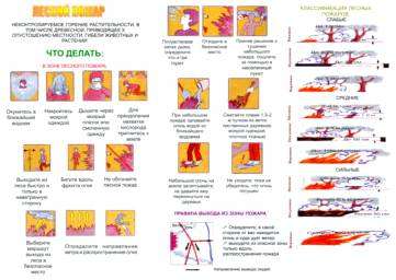 Правила поведения при пожаре в лесу памятка. Правила поведения населения при лесных пожарах