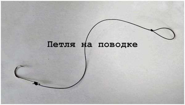 Рыбацкие петли для поводков. Как сделать петлю на леске для поводка?