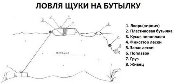 Как ловить рыбу ловушкой. Как сделать ловушку для мелкой рыбы из пластиковых бутылок (малечница, малявочница)