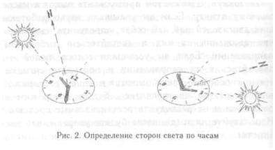 Как по пню определить стороны света. Ориентирование в лесу: как не заблудиться в трех соснах.