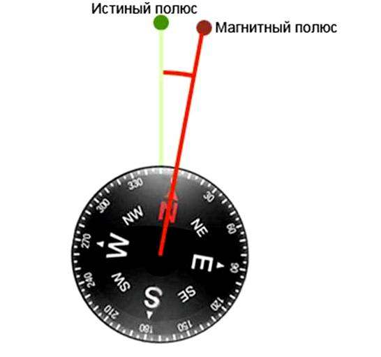 Как по пню определить стороны света. Ориентирование в лесу: как не заблудиться в трех соснах.