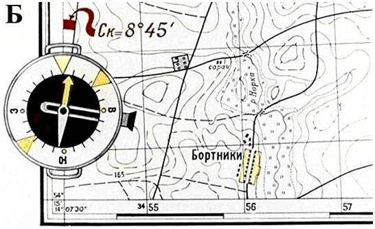 Как по пню определить стороны света. Ориентирование в лесу: как не заблудиться в трех соснах.