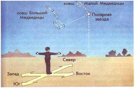 Как по пню определить стороны света. Ориентирование в лесу: как не заблудиться в трех соснах.