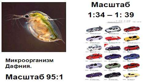 Как правильно определить масштаб. Как находить масштаб