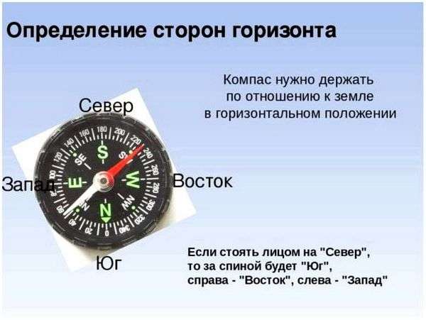 Направления компаса на русском. Обозначение и направление сторон света на компасе