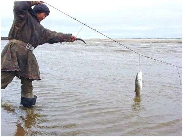 Рыболовная кошка своими руками. Крутые самоделки для летней рыбалки своими руками