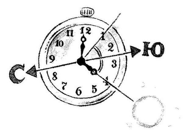 Сориентироваться как правильно. сориентироваться