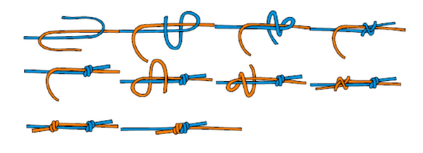 Узлы веревочные булинь. 6 узлов, которые нужно знать альпинисту