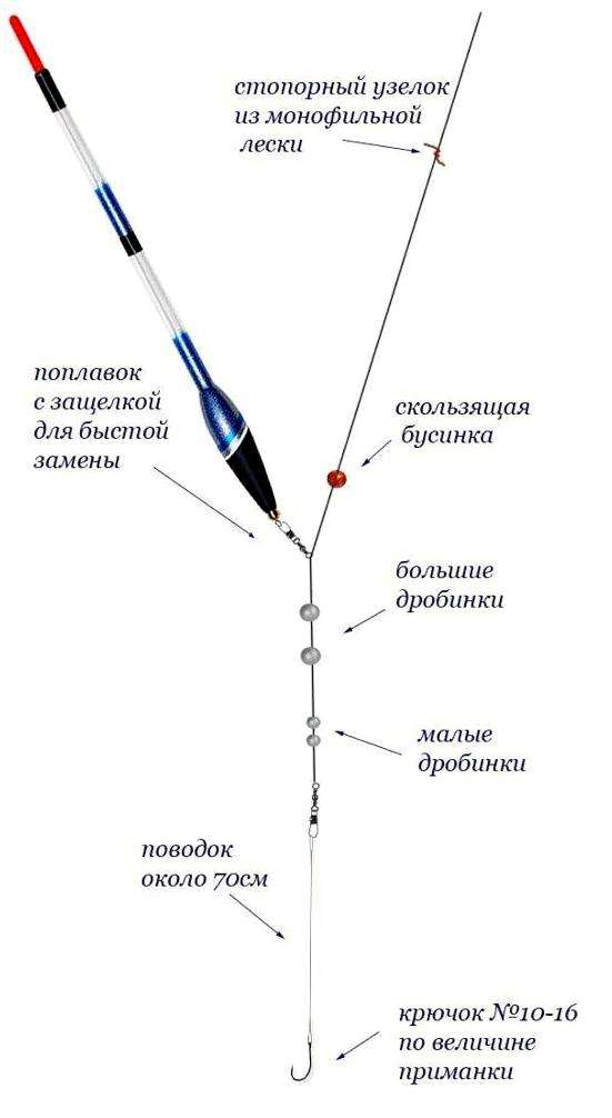 Как легко ловить рыбу. 5 хитростей рыбалки на поплавочную удочку